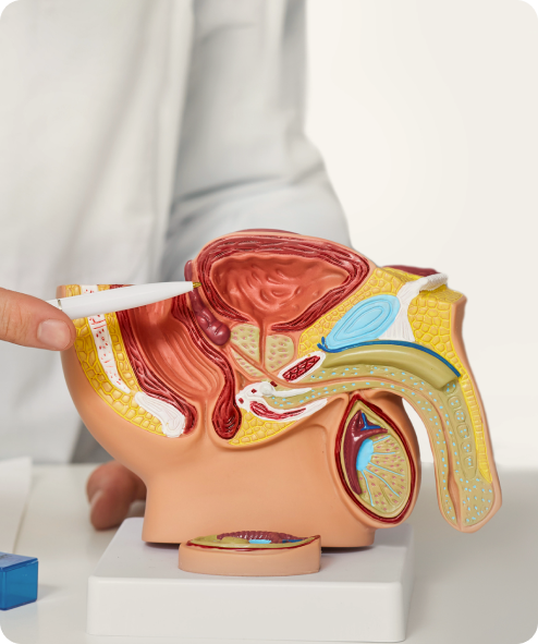 Unité d’andrologie