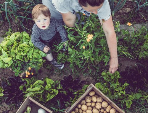 Les perturbateurs endocriniens, pourquoi et comment les éviter ?