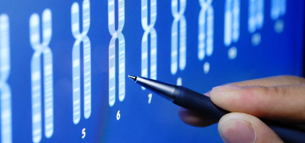 Analyse de compatibilité génétique