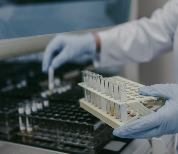 Unité de Génétique de la Reproduction